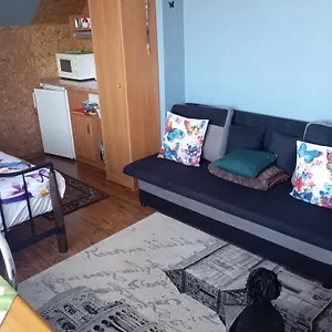  Kwatera prywatna Gościnne Surfinia